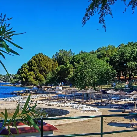 Area Simo 3*