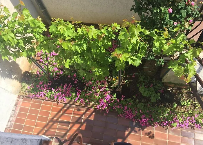 Area Simo 3* Πόρετς