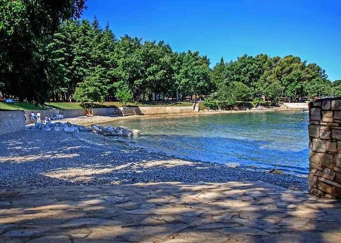 Area Simo Πανσιόν